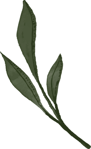 dark green watercolor leaves